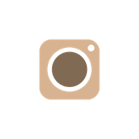 Icone Instagram